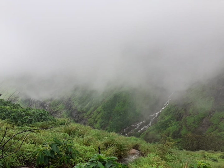 Nature's MISTery