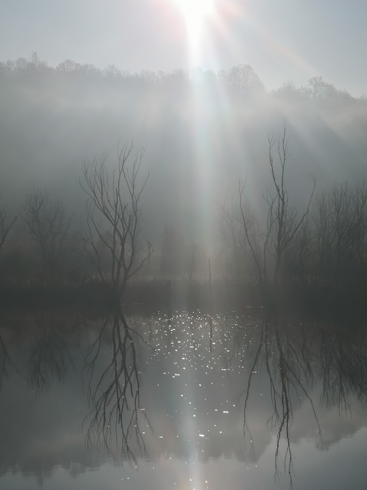 morning fog at the river