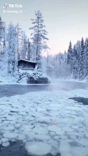 frozen ......icy everywhere......