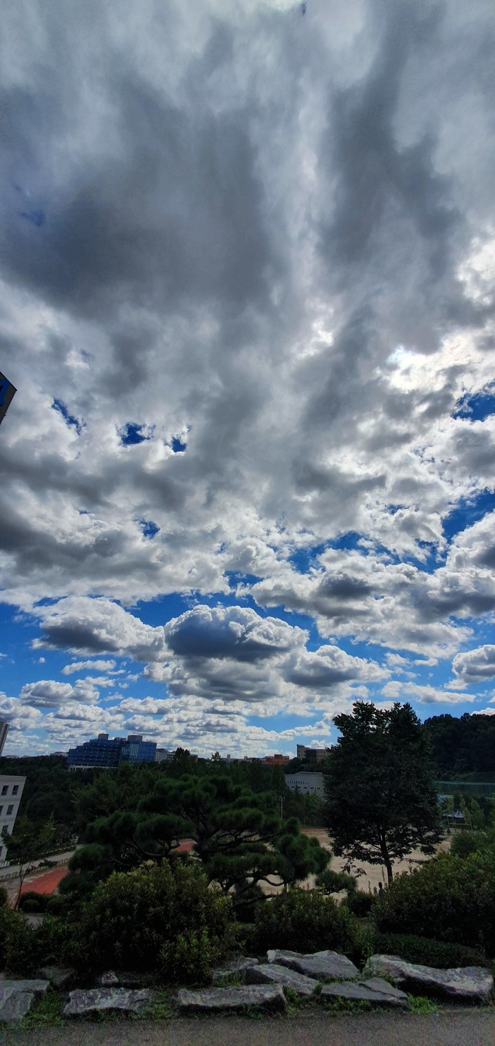 Skyview at the center of campus
