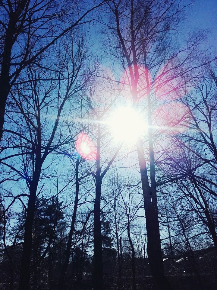 Winter