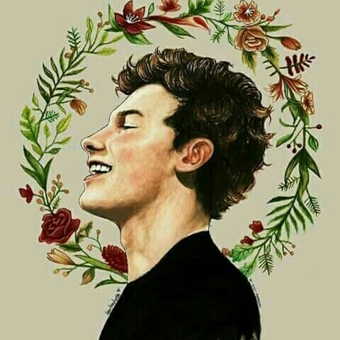 Shawn mendes