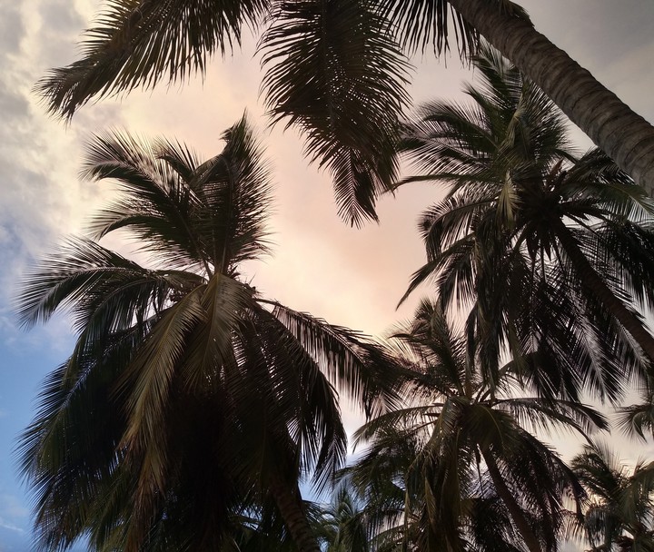 atardecer