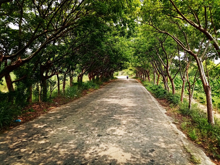 Tunel