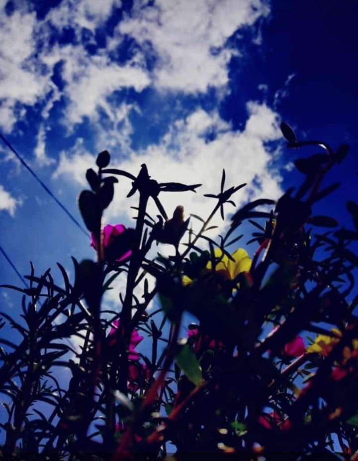 ❤️mausam