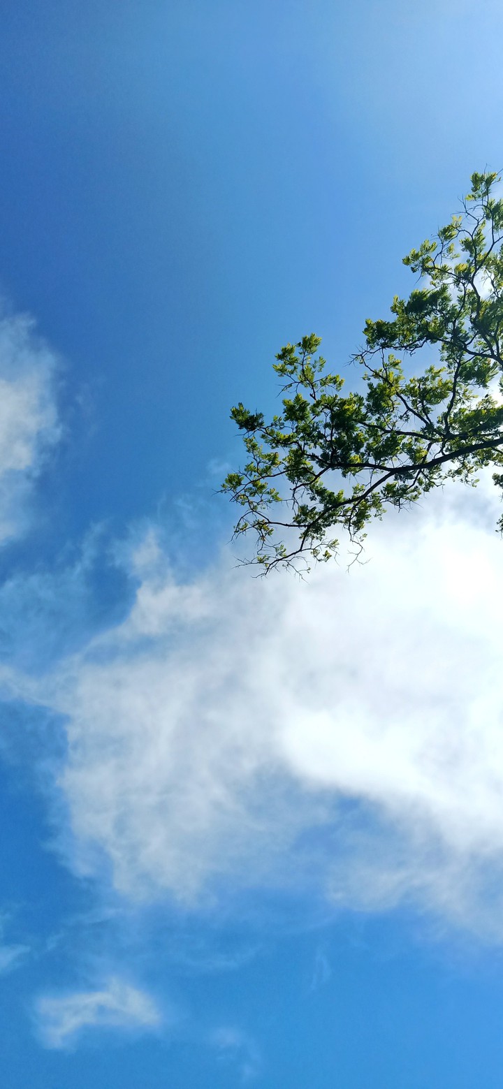 sunny day