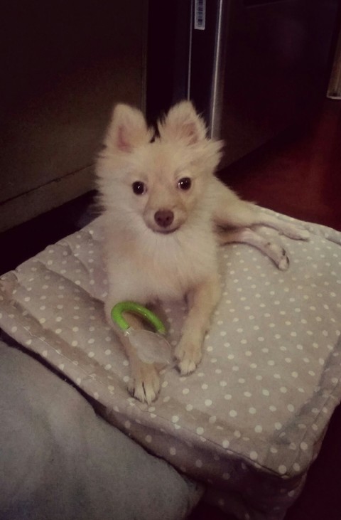 My Candy ^_^