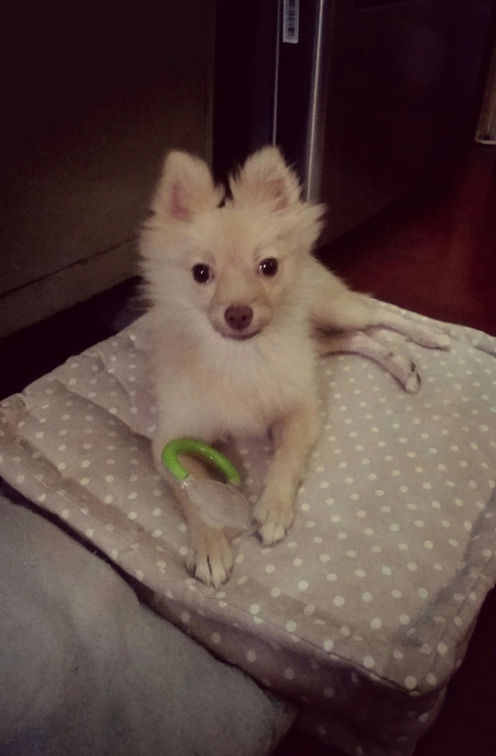My Candy ^_^
