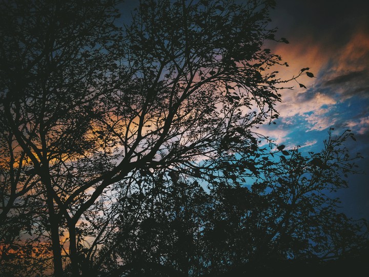 nature