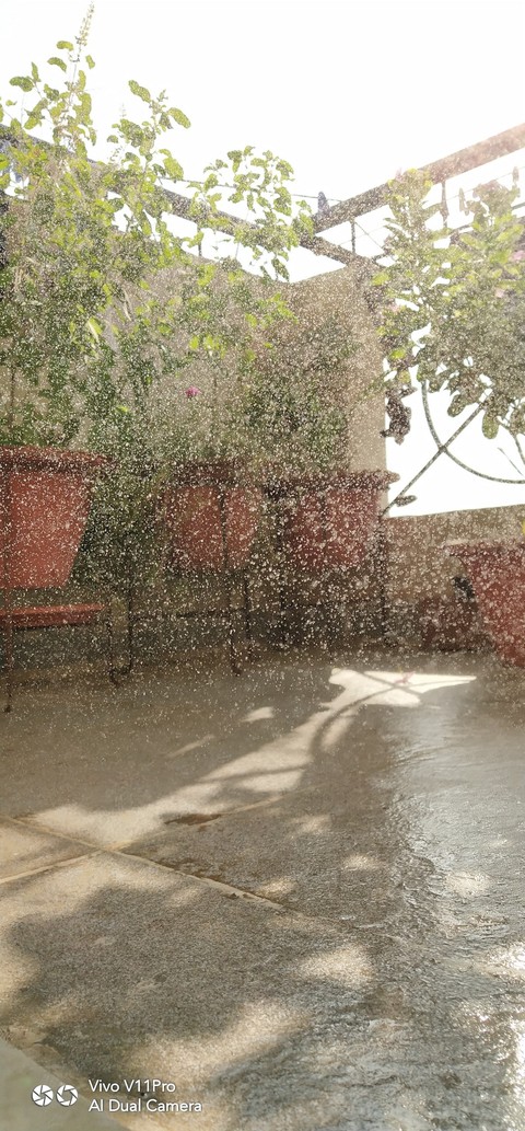 Waterdrops