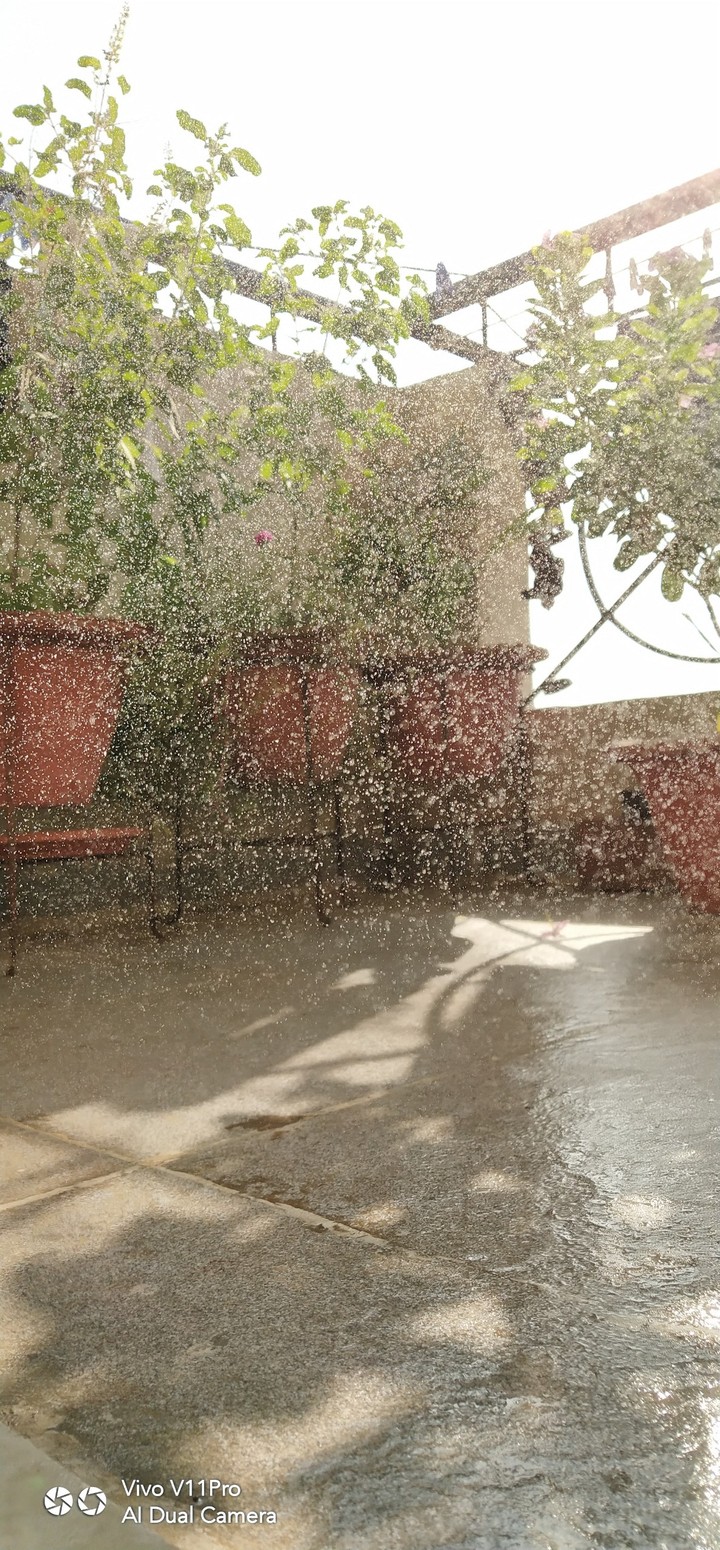 Waterdrops