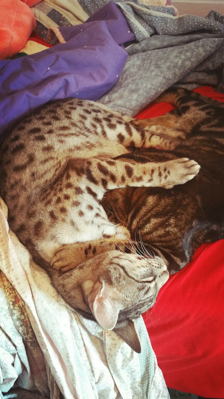 cuddle time