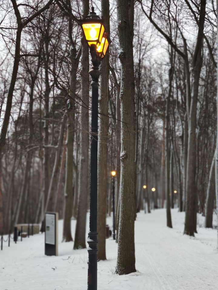 walk in the park