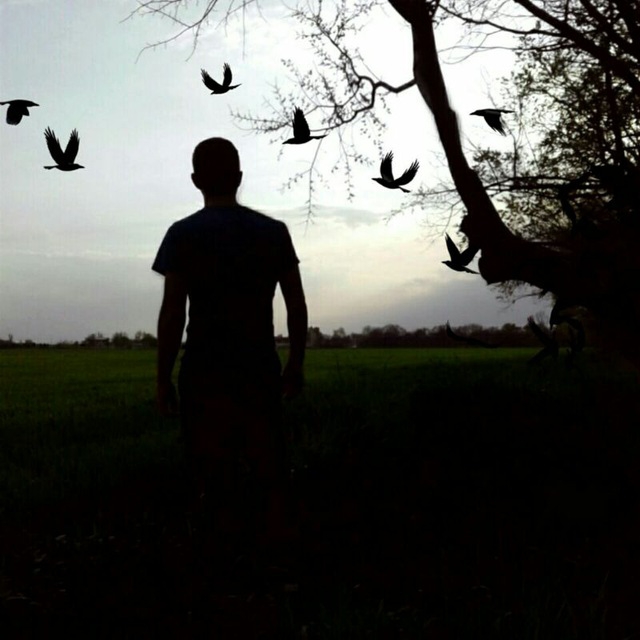 photo by reza yaghi
