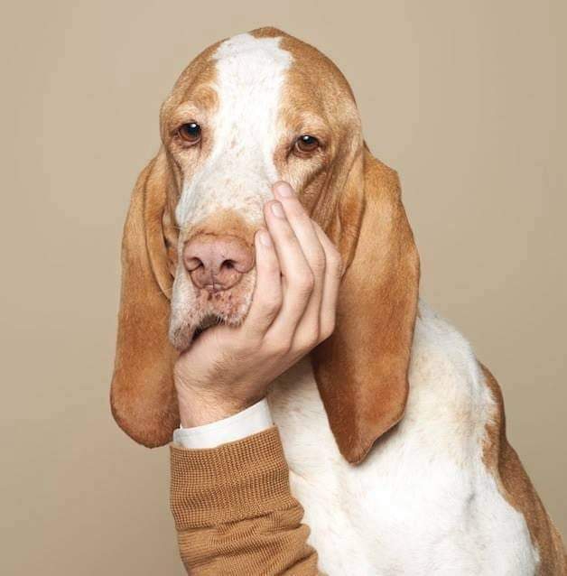 Aquí pensando...?