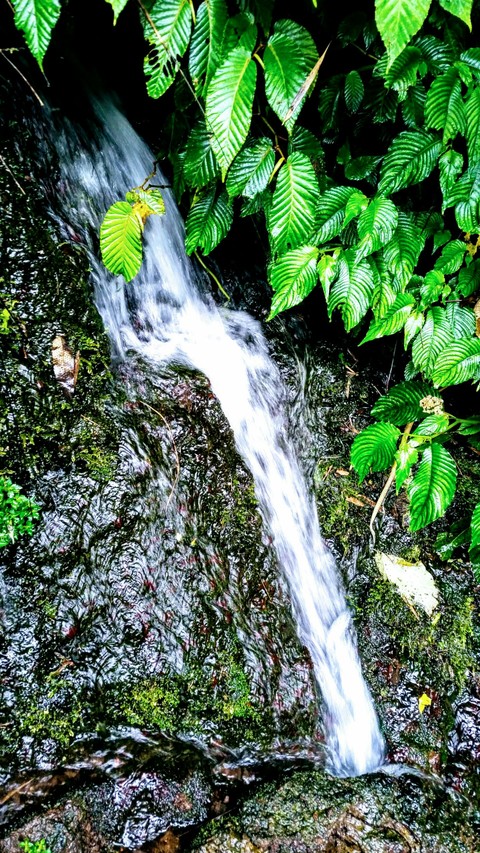 Source of life