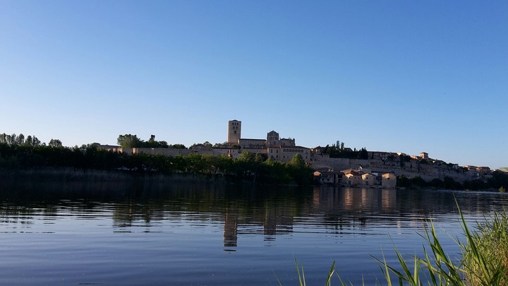 zamora