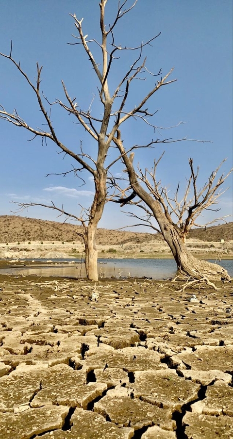 soil, wetland wallpapers