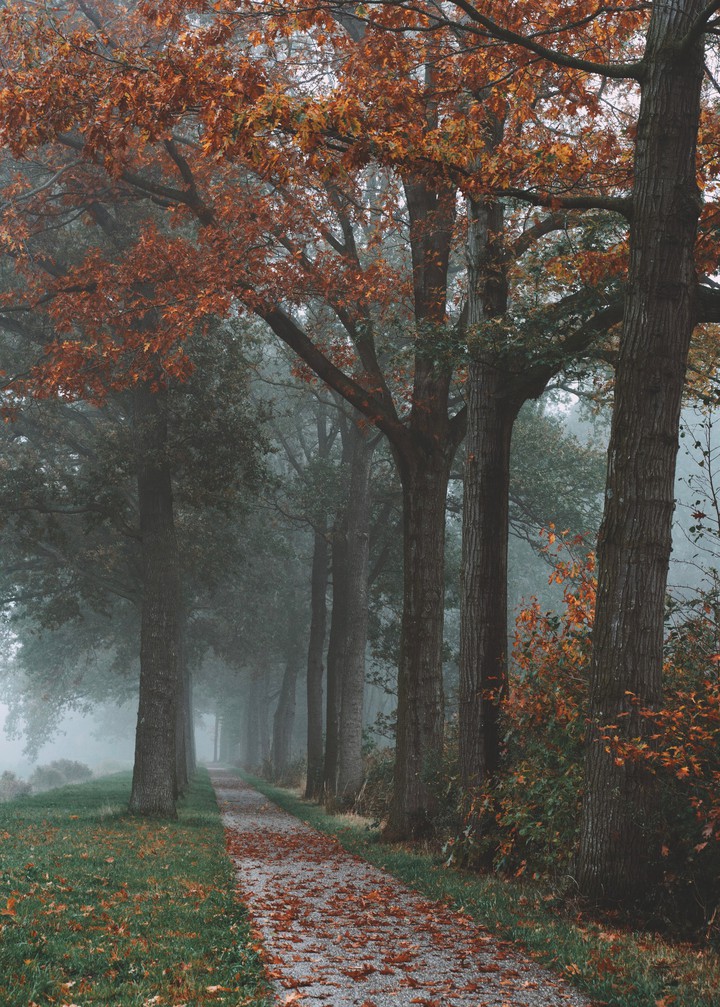 winter is coming
