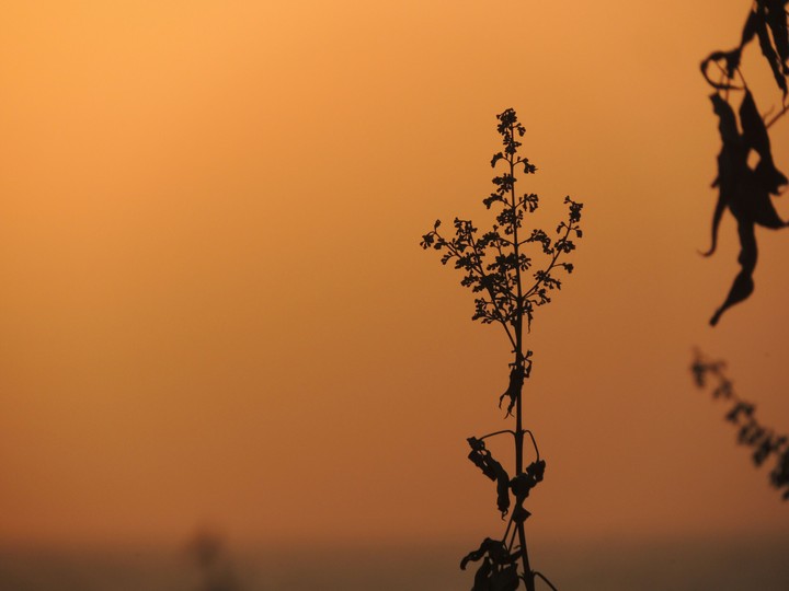#Nikon_ClickZ #Sunset #Evening