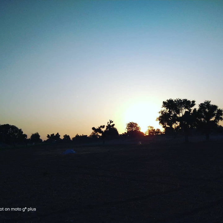sunrise