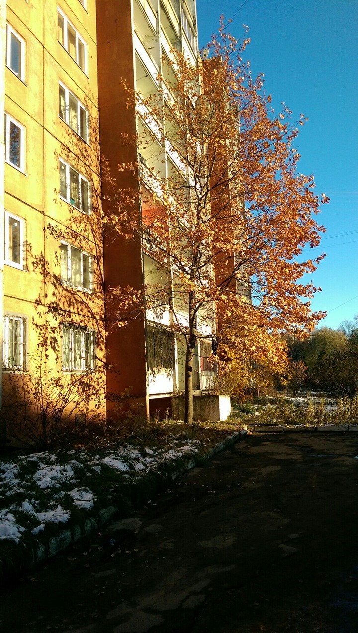 Autumn