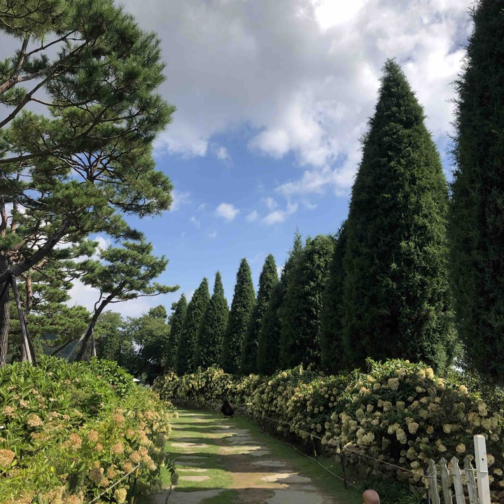 sweet sunshine park