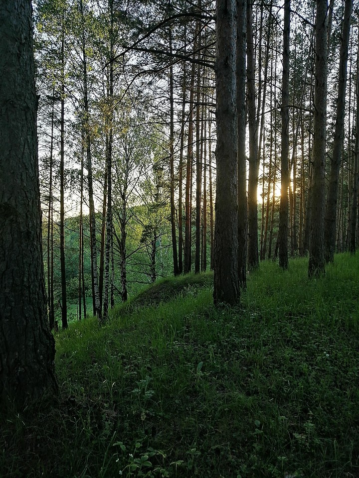 lanscape..