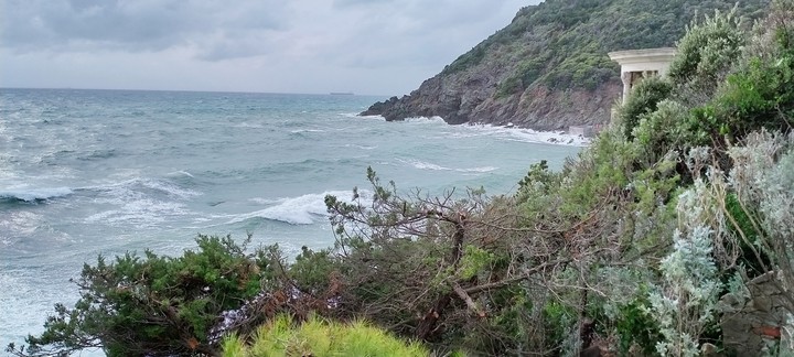 wonderful Sea