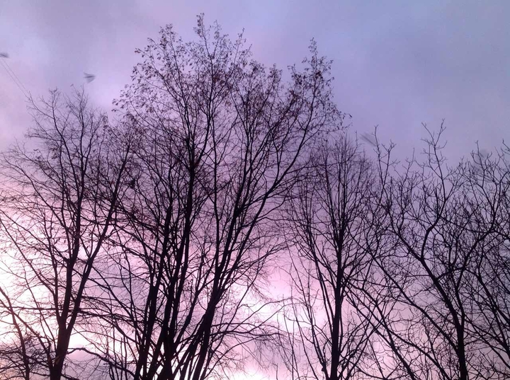 tranquility 