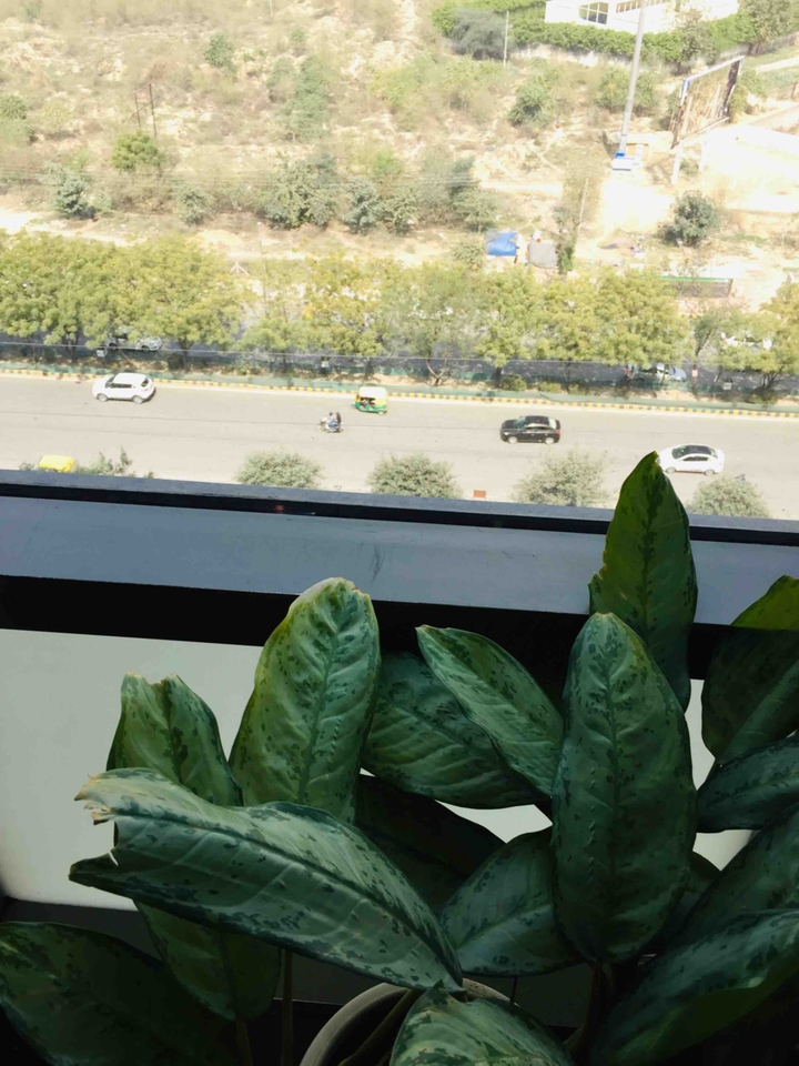 Gurgaon