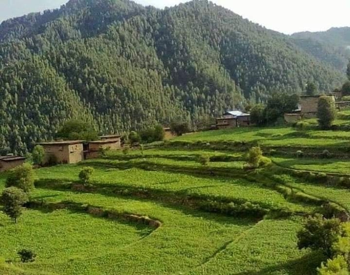 beauty of Pakistan ??