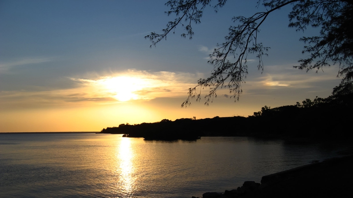 Darwin coast