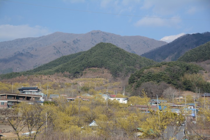 구례의봄이미지