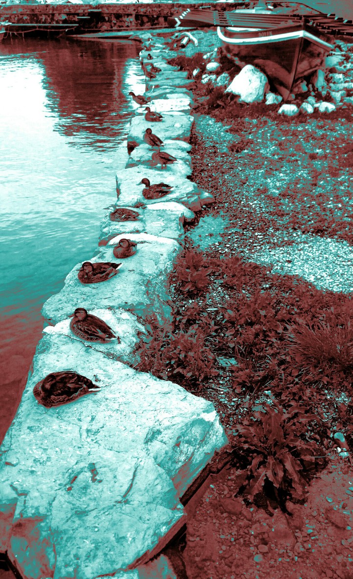 STAMATIOS