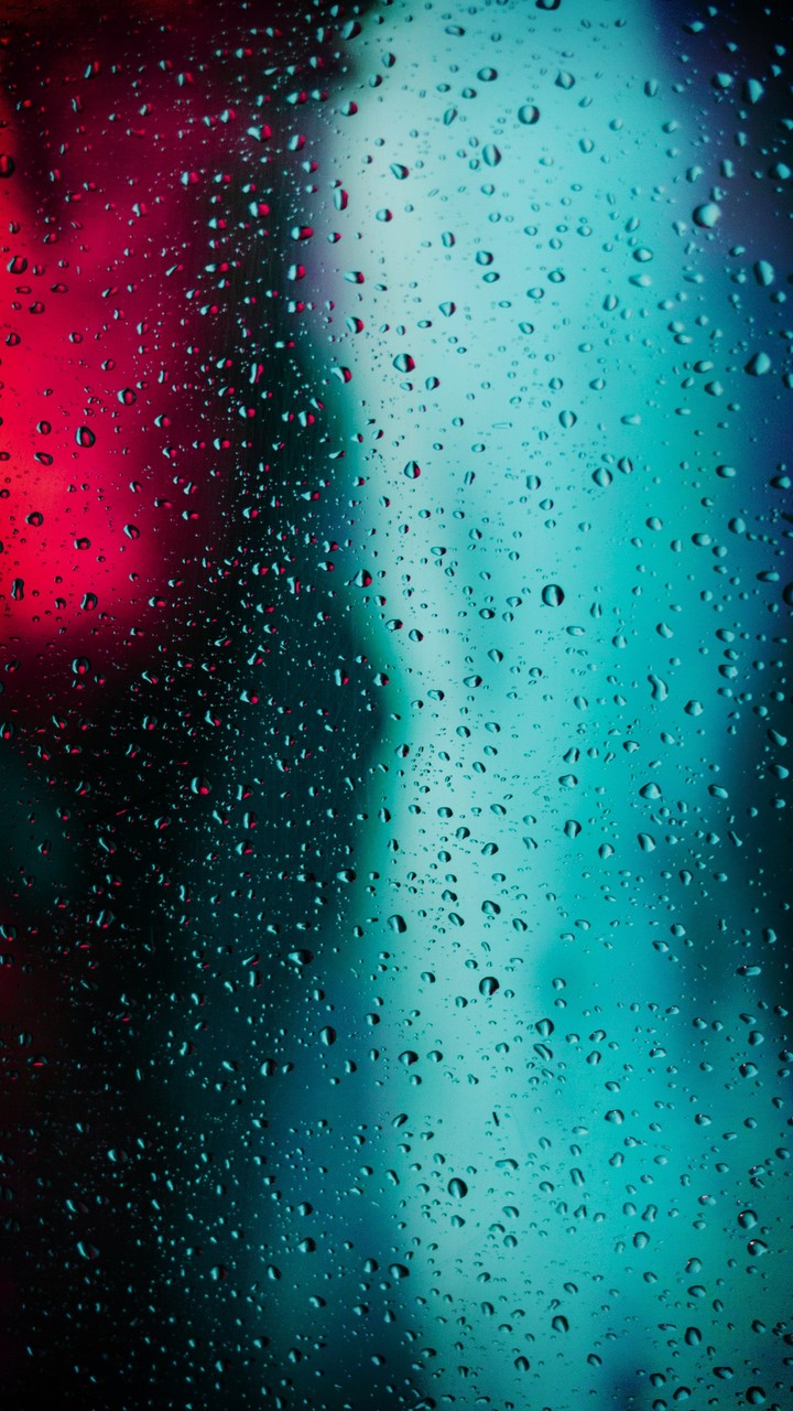 moisture, dew Hintergrundbilder