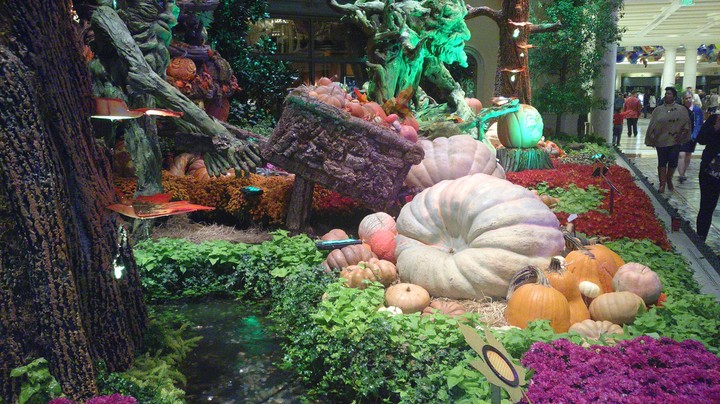 Jardín Hotel Bellagio