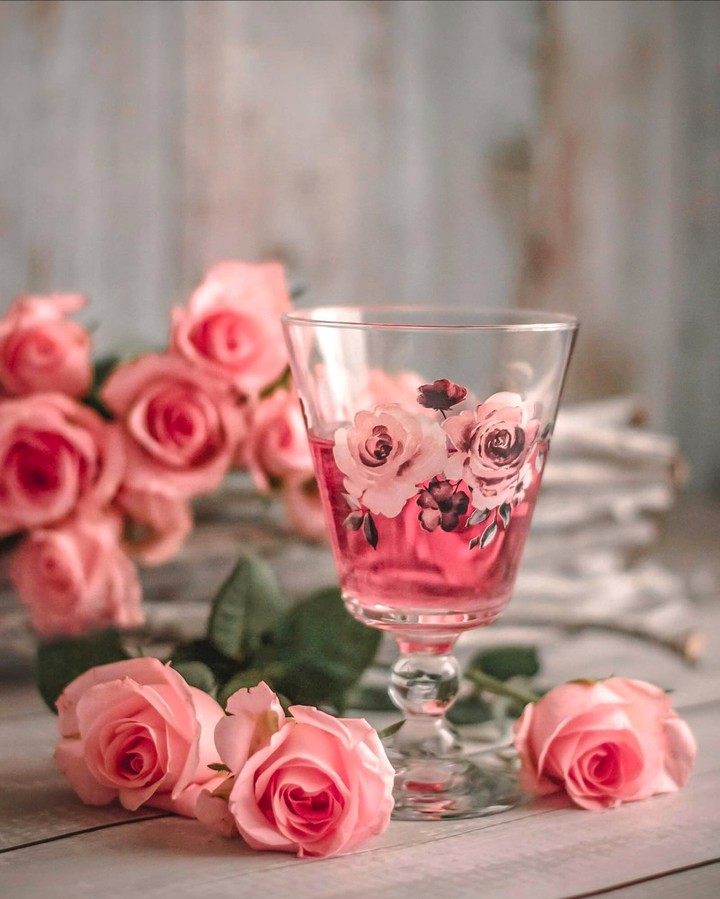 Stilllife