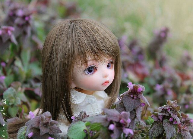 doll