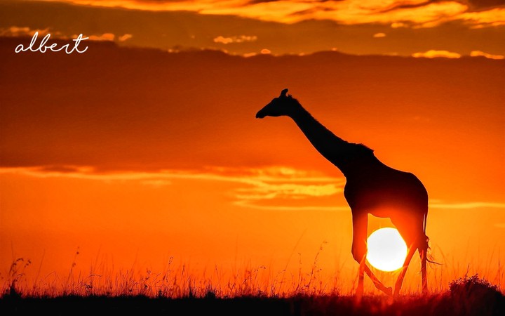 africa