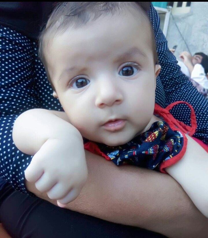hassty