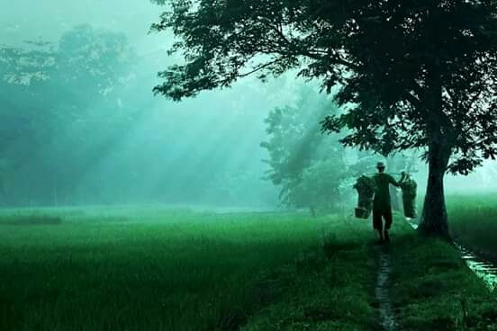 the beauty of Indonesia's nature