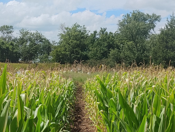 .