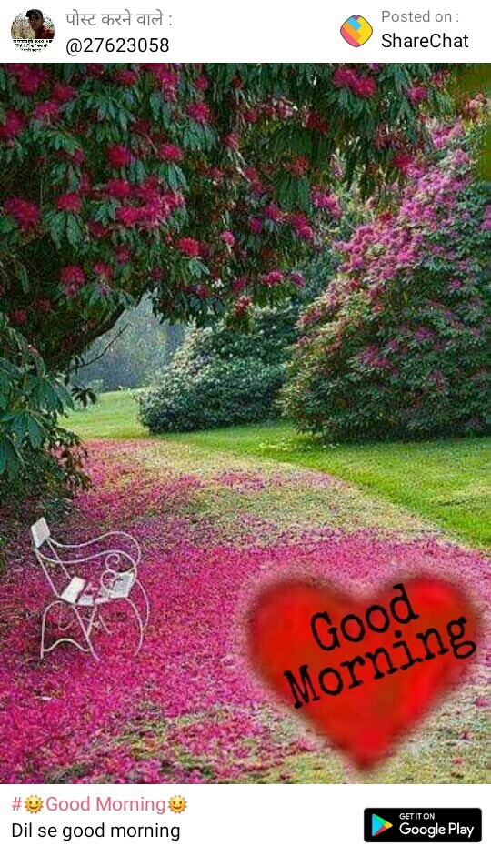 gm