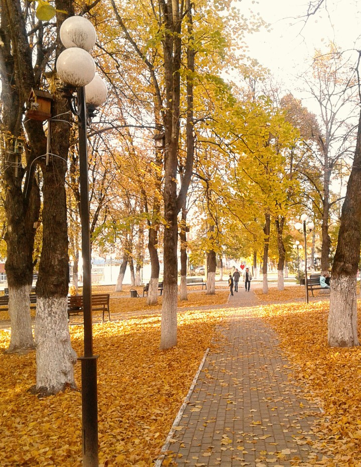 осенний парк