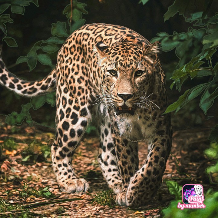 leo