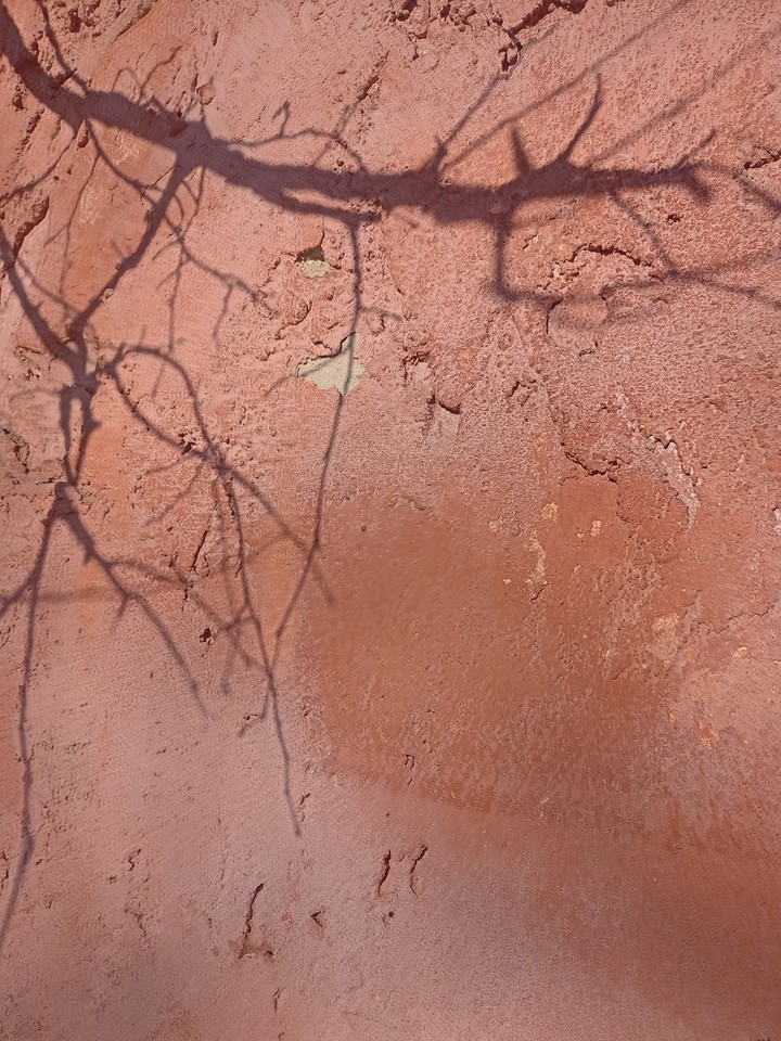 shadow on the red wall