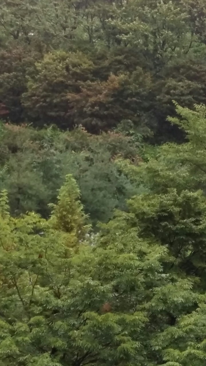 산속