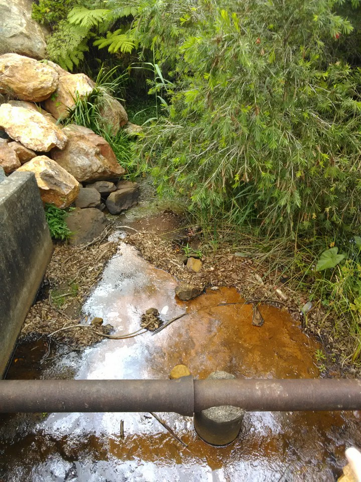 Stream