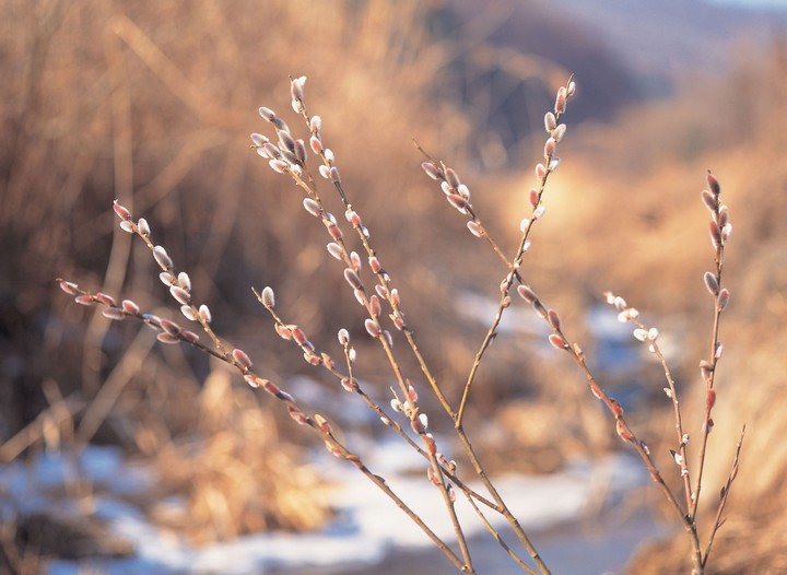 겨울의전경